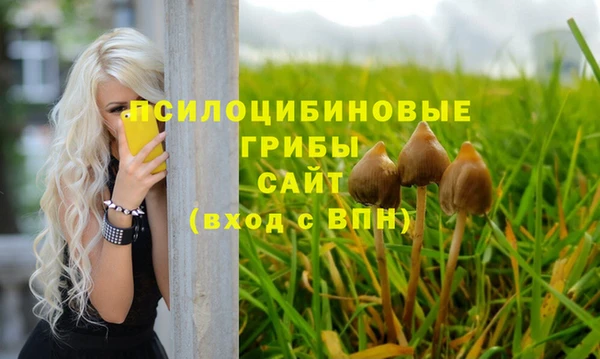 spice Алексин